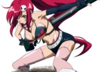 Yoko's Battle Stance | Gurren Lagan Hentai Image