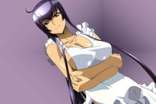 Busujima Saeko – Highschool Of The Dead Hentai Image