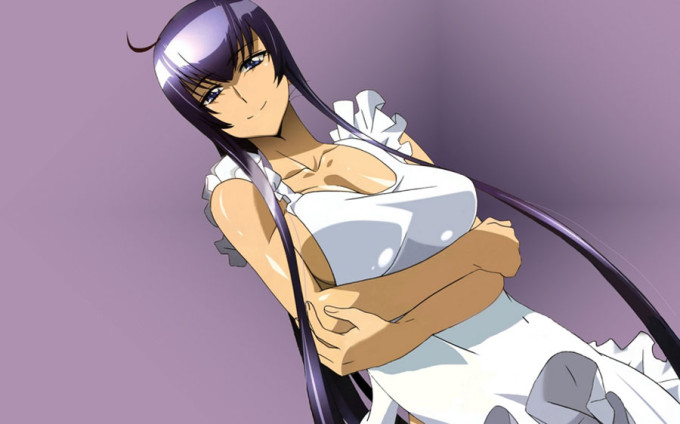 Busujima Saeko – Highschool Of The Dead Hentai Image