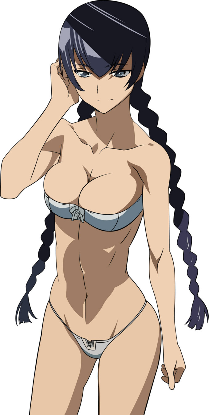 Busujima Saeko – Highschool Of The Dead Hentai Image