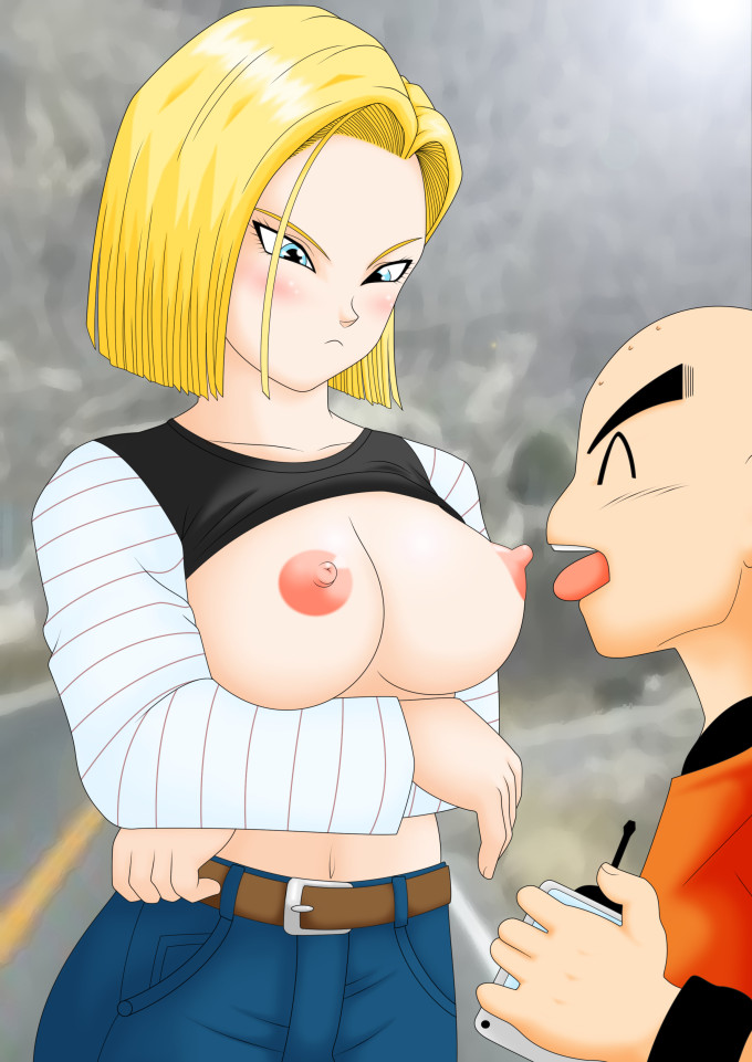 Krillin and Android 18 – Dragon Ball