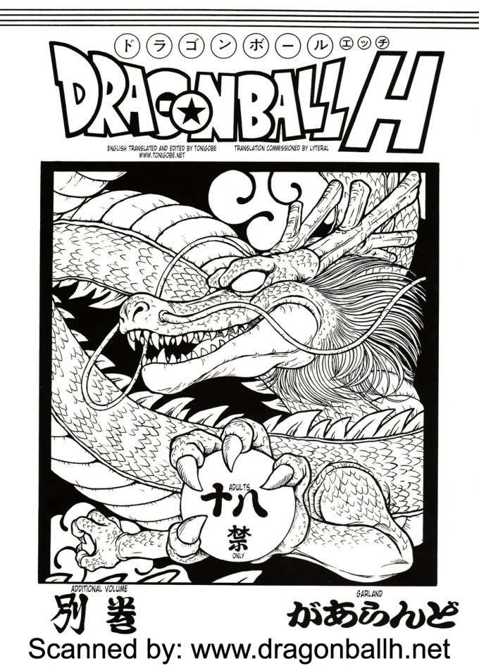 Dragon Ball H Extra Issue