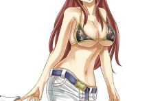 Erza Scarlet – Fairy Tail