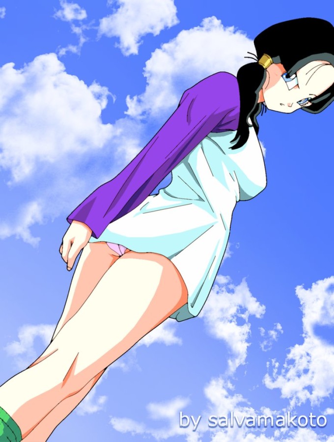 Videl – Salvamakoto – Dragon Ball