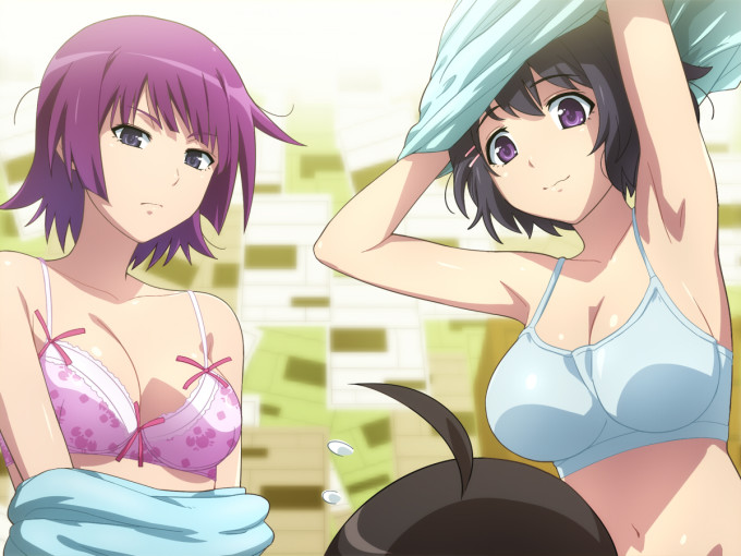 Araragi Koyomi, Hanekawa Tsubasa and Senjougahara Hitagi – Hairu – Monogatari