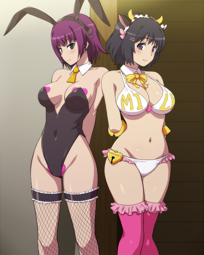 Hanekawa Tsubasa and Senjougahara Hitagi – Hairu – Monogatari