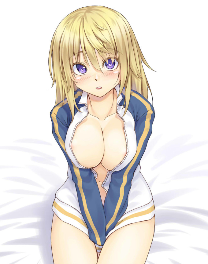 Charlotte Dunois – H Kasei – Infinite Stratos