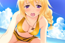 Charlotte Dunois - Nozomi-Y - Infinite Stratos