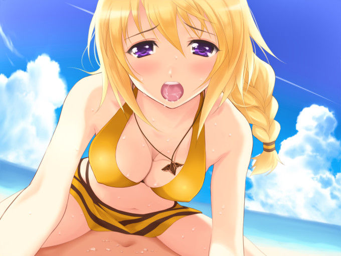 Charlotte Dunois – Nozomi-Y – Infinite Stratos