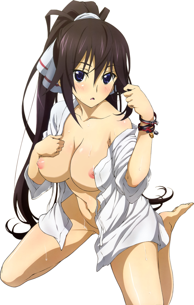 Shinonono Houki – Infinite Stratos