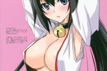 Shinonono Houki – Yamaki Suzu – Infinite Stratos