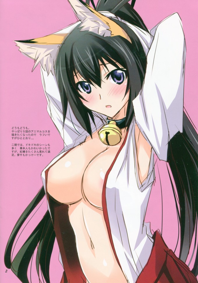 Shinonono Houki – Yamaki Suzu – Infinite Stratos