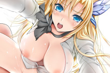 Kashiwazaki Sena - Kojima Sena - Haganai