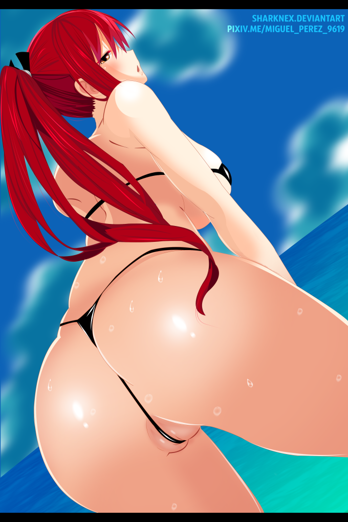 Erza Scarlet – SharkNex – Fairy Tail