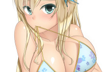 Kashiwazaki Sena - Kai - Haganai