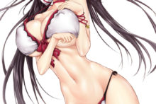 Shinonono Houki - Zucchini - Infinite Stratos