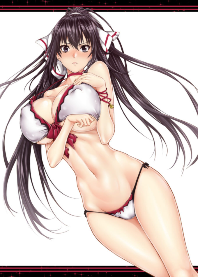 Shinonono Houki – Zucchini – Infinite Stratos