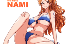 Nami – runaru – One Piece