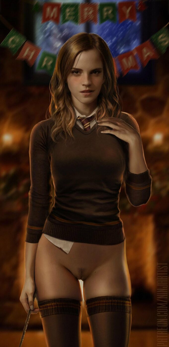 Hermione Granger – Ninjartist – Harry Potter