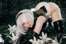 2B – Alina Becker – Nier Automata