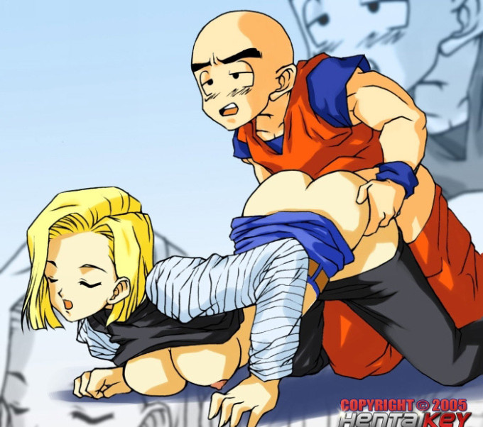 Android 18 and Krillin – Dragonball