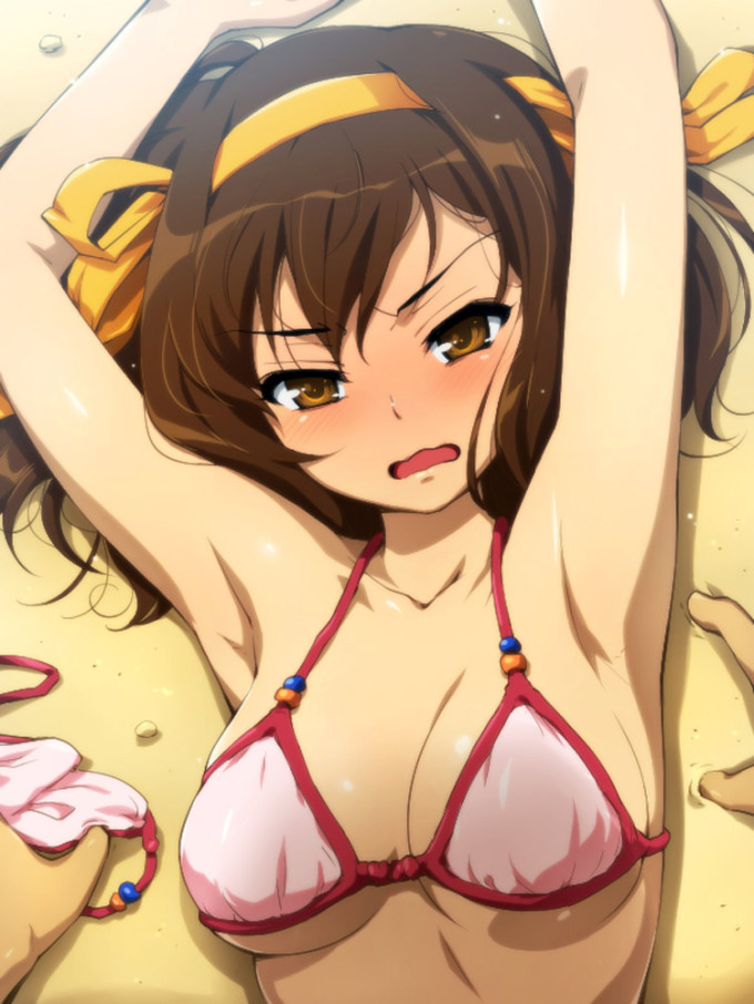 Haruhi Suzumiya – Hairu – The Melancholy of Haruhi Suzumiya